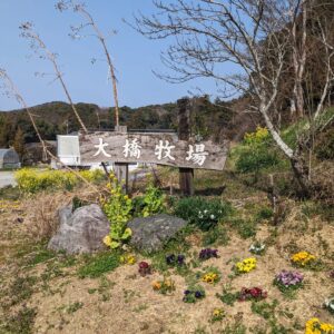 船美　燃焼室クリーニング　燃費改善　船舶　トラック　カーボンクリーニング